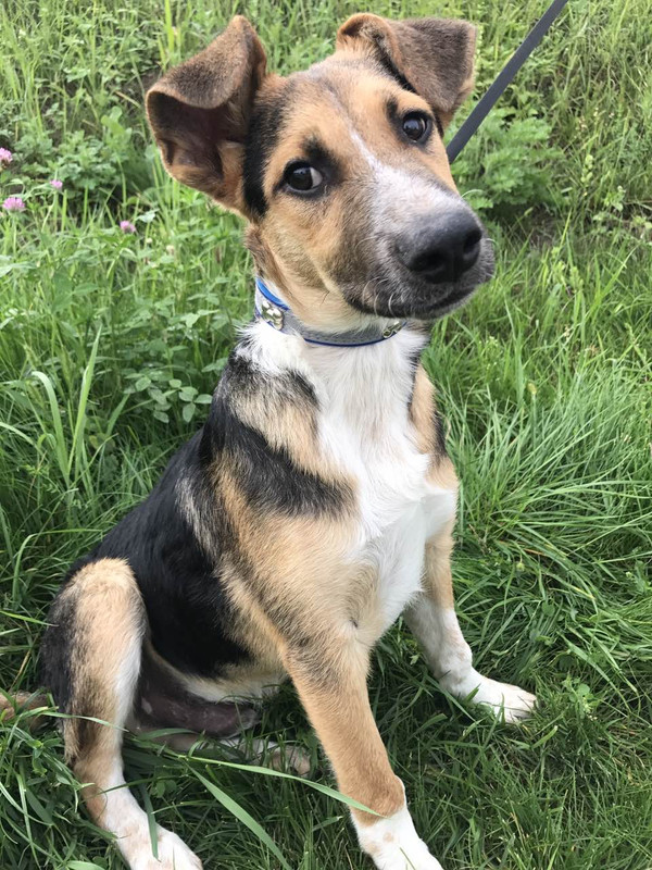 IMG-ea567d6d522a1b9fcd1d11f585ebc8b8-V