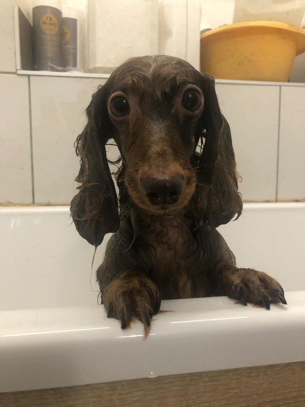 [Image: IMG-2094.jpg]