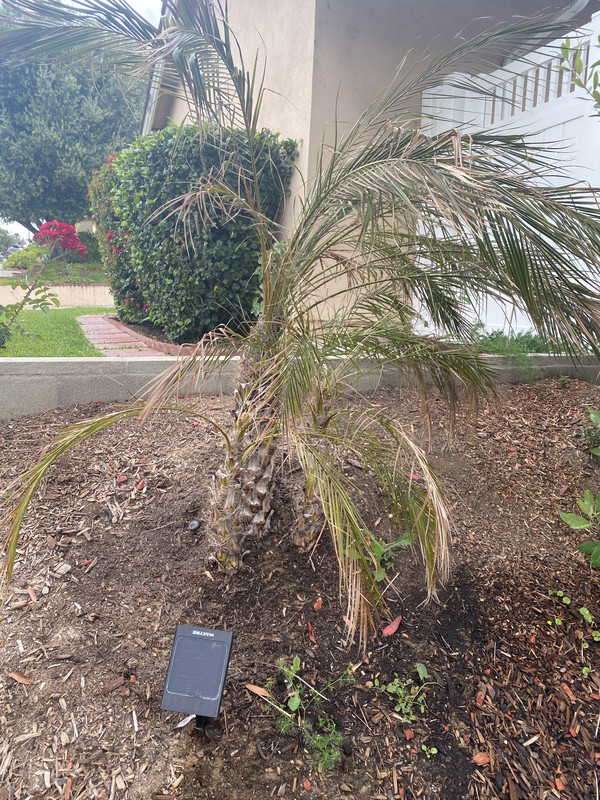 609033FB-753C-4A58-8DE0-05ADDBC02EC4