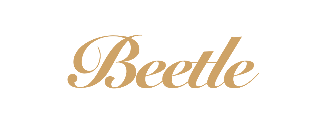 Beetle