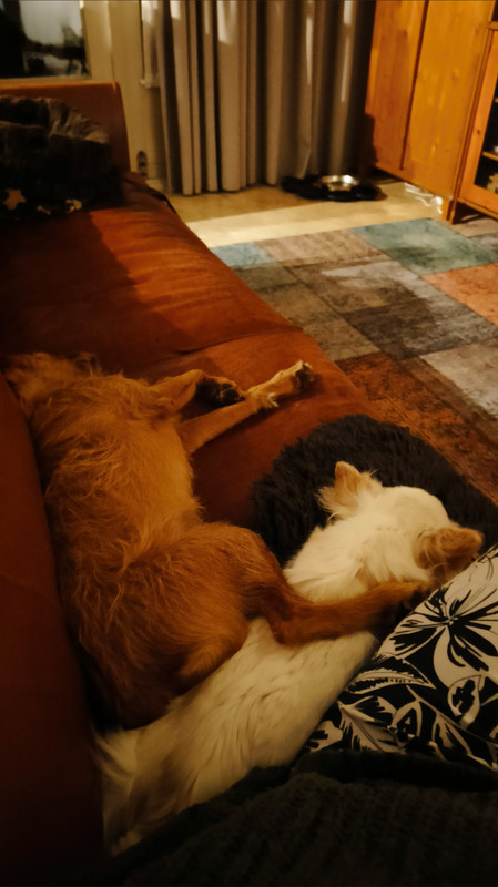 Lumii 20251109 180329718