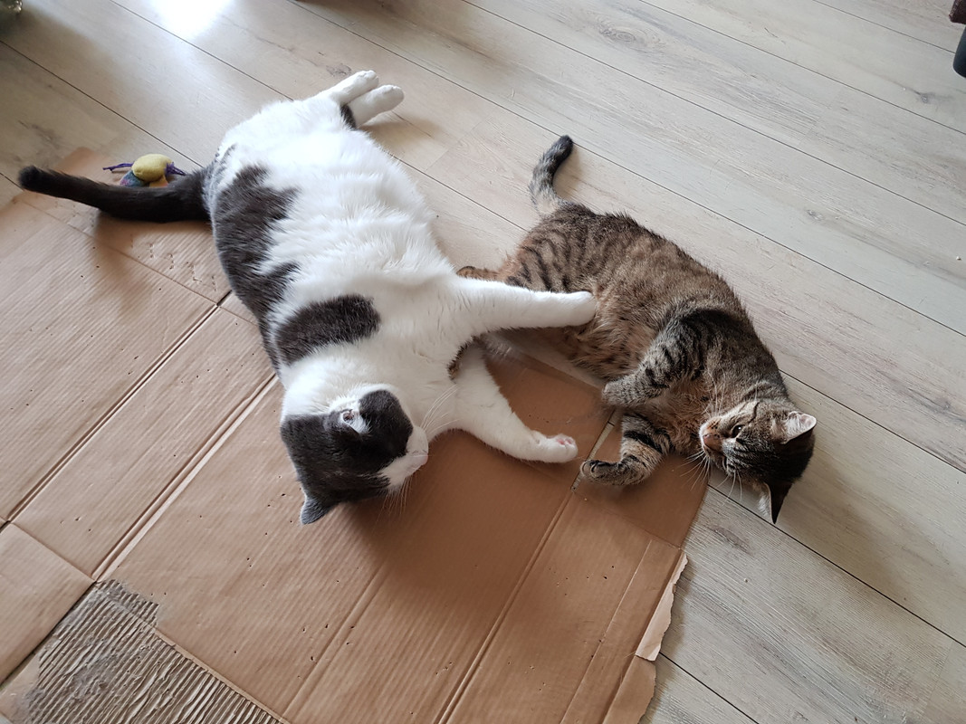 20190621-172440.jpg