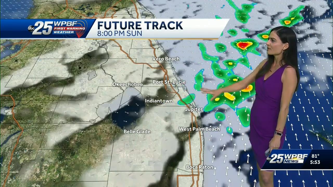 01.03 - 22.00.00 - Wpbf 25 News At 5 00.-1.m4v_snapshot_00.43.09_[2021.01.04_01.12.10]