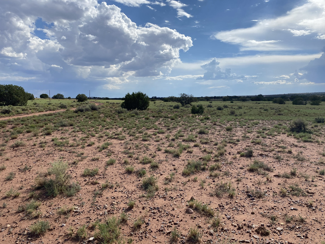Discover Endless Potential: 2.62 Acres in Apache County, AZ, at Just $250/Month – Embrace Limitless Adventure!