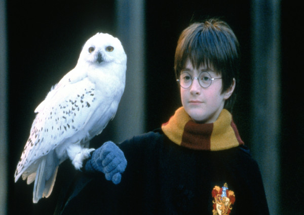 Harry Potter and the Philosopher’s Stone (2001) Harry Potter and the Philosopher’s Stone (2001)