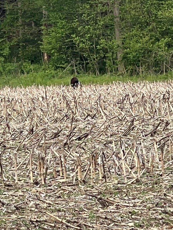 A0C1B666-411A-47D3-B350-9FCB4B9FBC23