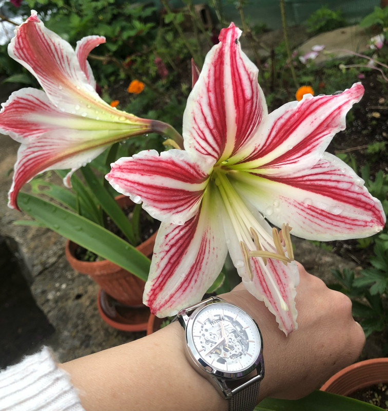 93486B07-7926-4E96-8789-5637071FC9F2