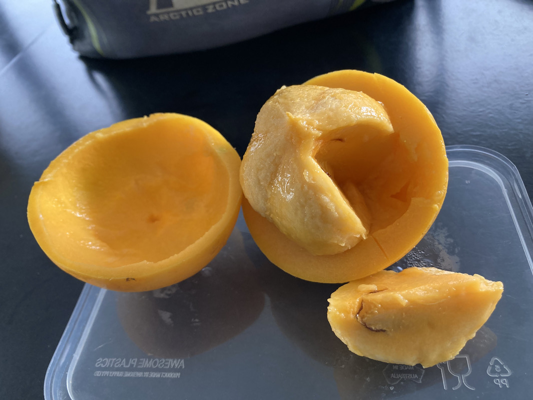 ED65F332-0EA6-46DD-AB33-8746899594D9