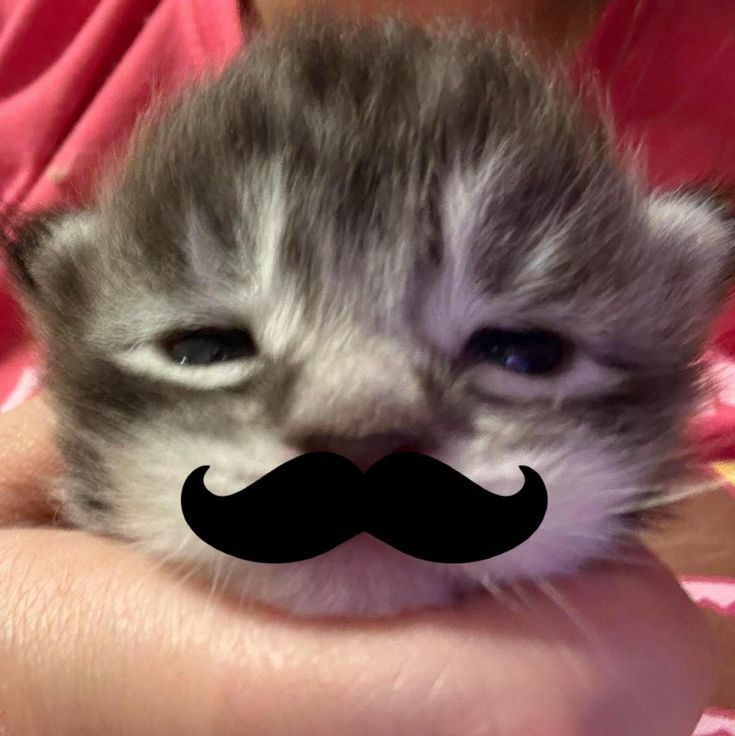 25f610139f457dbb334fa669033e710d