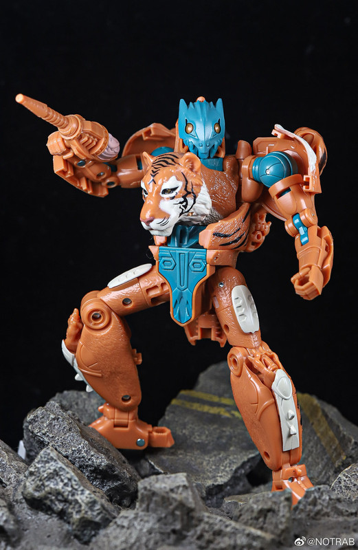 Golden-Disk-Collection-Mutant-Tigatron-05