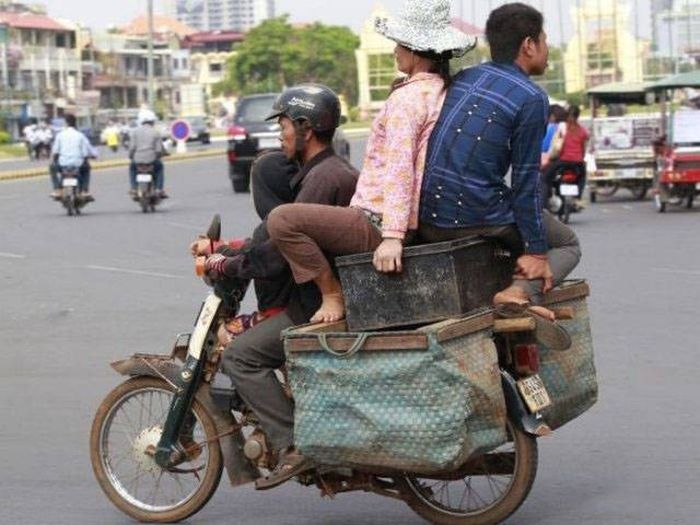 Типичные претенденты на Премию Дарвина