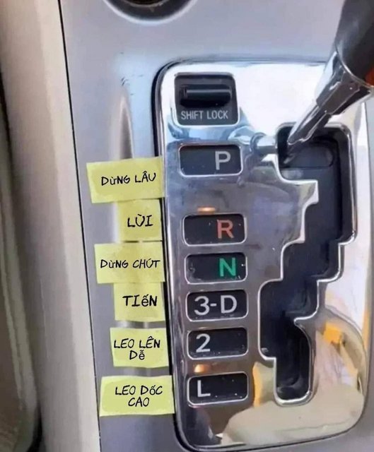 [Image: 310511945-1099567444264797-3208022615343515719-n.jpg]