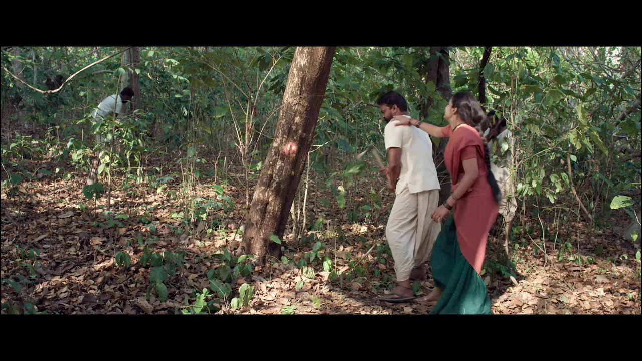 vlcsnap 2025 11 02 13h51m43s994