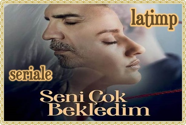 serizl turcesc subtitrat romana dragoste de succes
