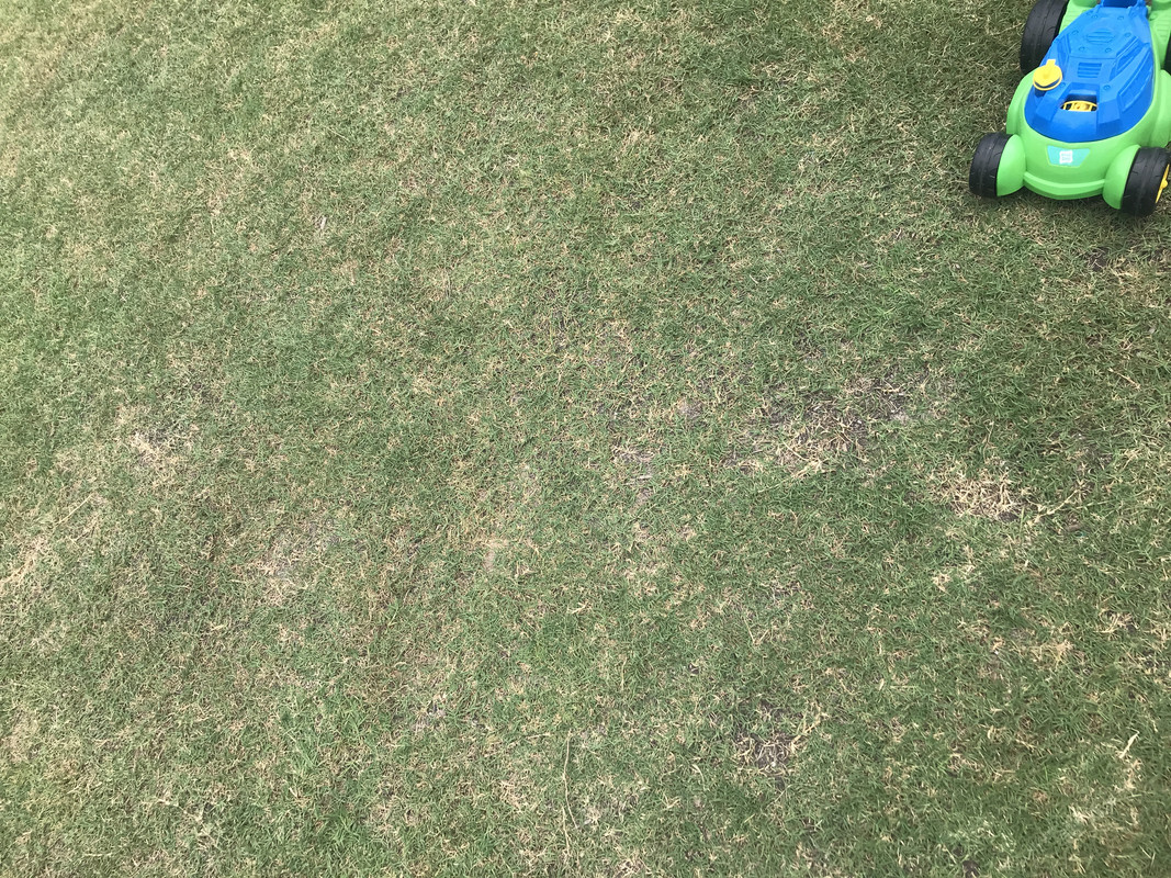 AE56DB86-928A-44A0-8085-AFE4515102C5