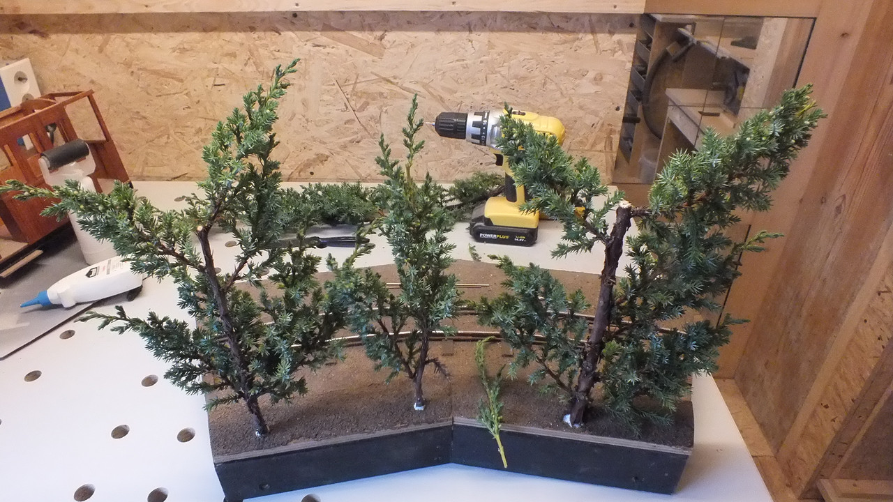 Gehölzrand für Module (20)