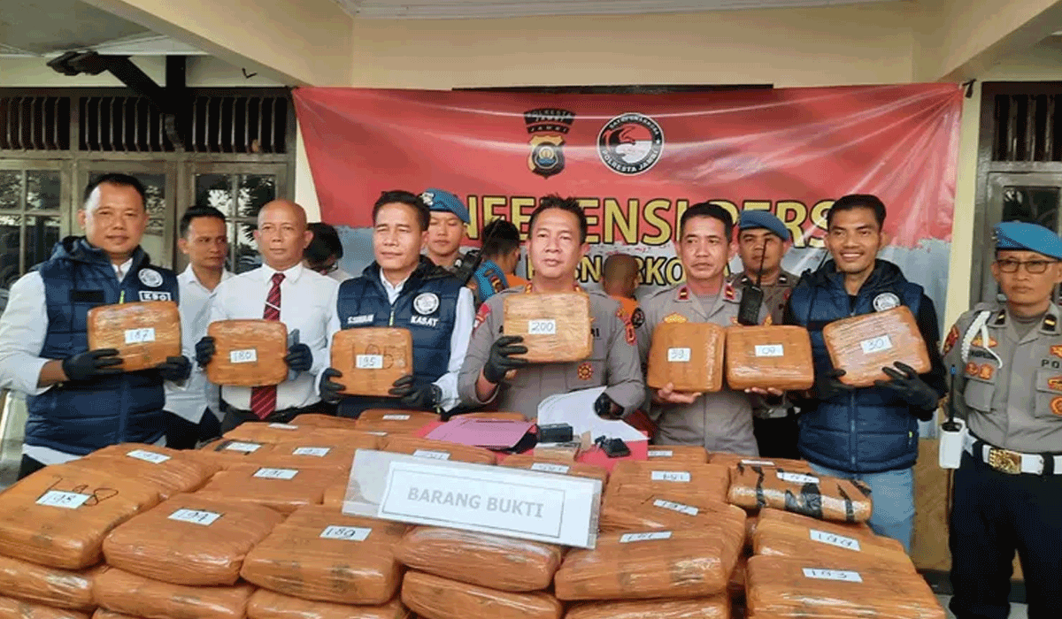 Polisi Gagalkan Pengiriman 200 Kg Ganja, Dua Kurir Ditangkap di Jambi