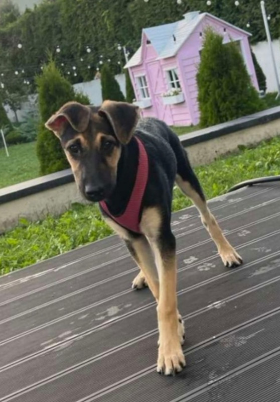 Screenshot_20230920-101221_Gallery