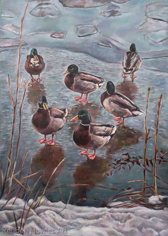 Christmas Quackers