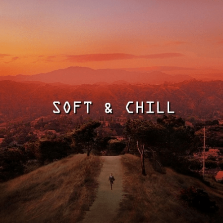 VA - Soft & Chill (2020)