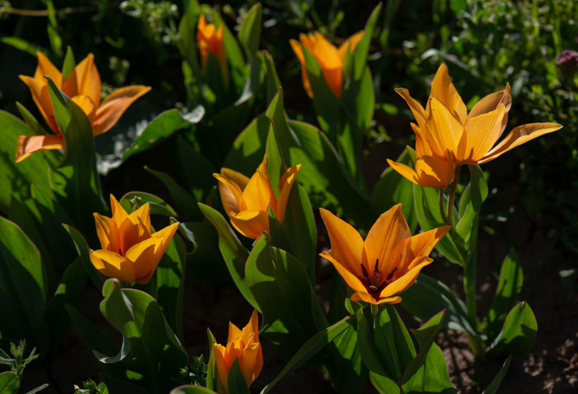 IMG-6364d58553b8de54a019adcac80c3eb6-V