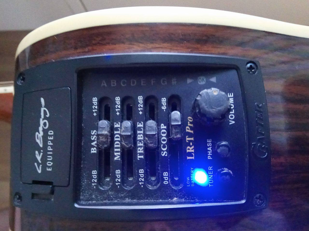 21769191_10209736557190417_1893887322_o