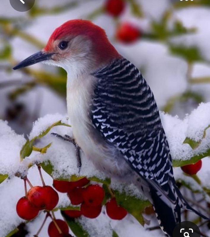 Screenshot_20230429_013054_Pinterest