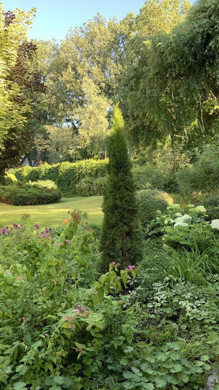 BF80303E-A97F-429E-A163-A7EA04C24EE0