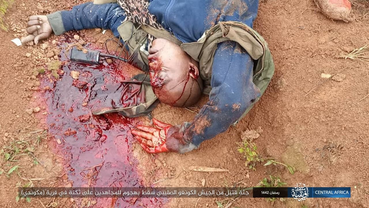 photo_2021-04-25_23-55-47