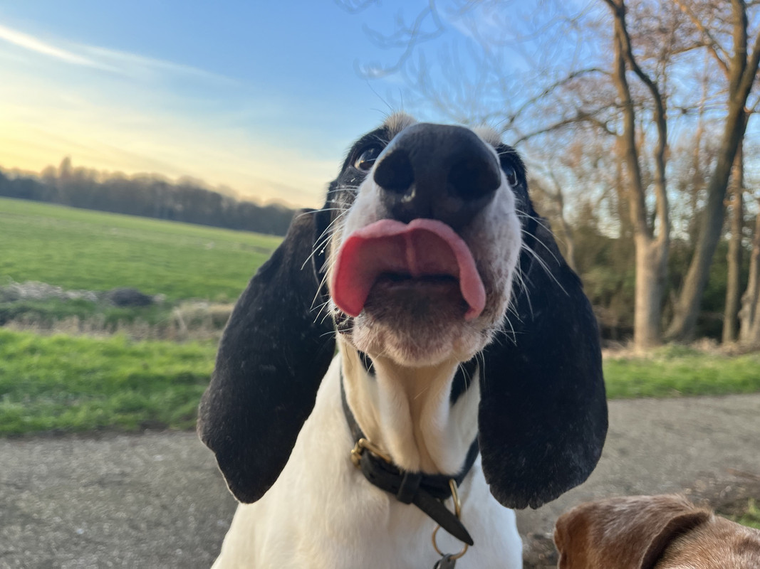 2C506B71-8E24-4CB0-9FF3-FA4BFC97DEEA