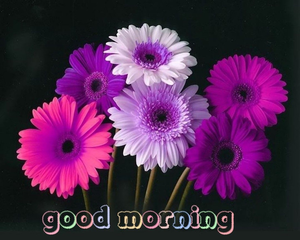 014f98f3eaa30a8da54ada21012773a3