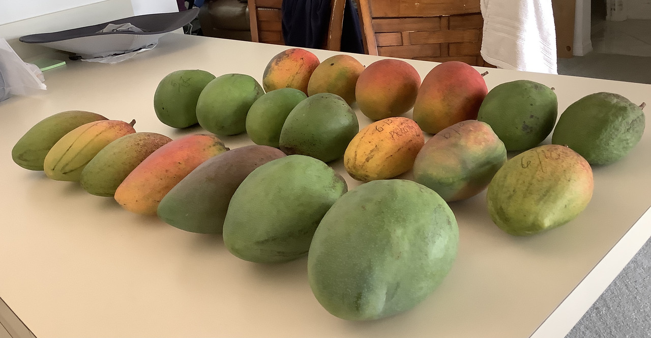 B359DB27-CC87-4406-A2E7-B5134DCA19E9