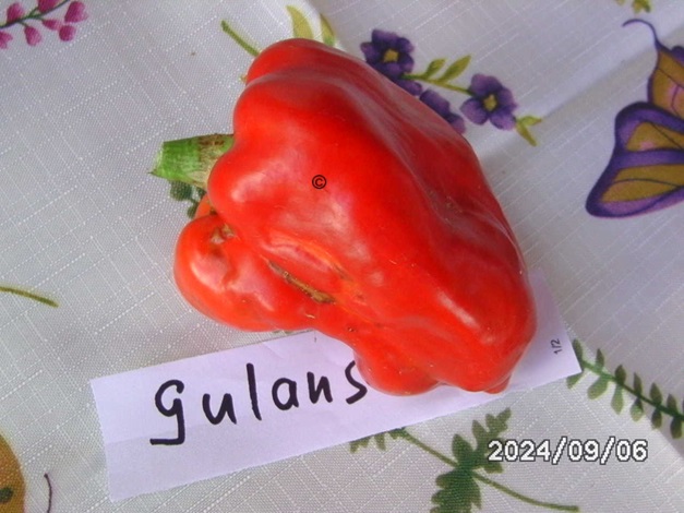 [Bild: BILD0403.jpg]