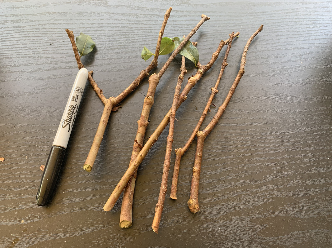 1AB7E928-555B-45BD-8319-59684B552247