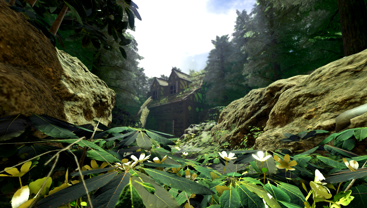 Enchanted Forest
