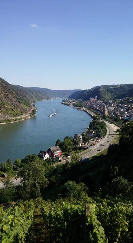 FB_IMG_1471466450169