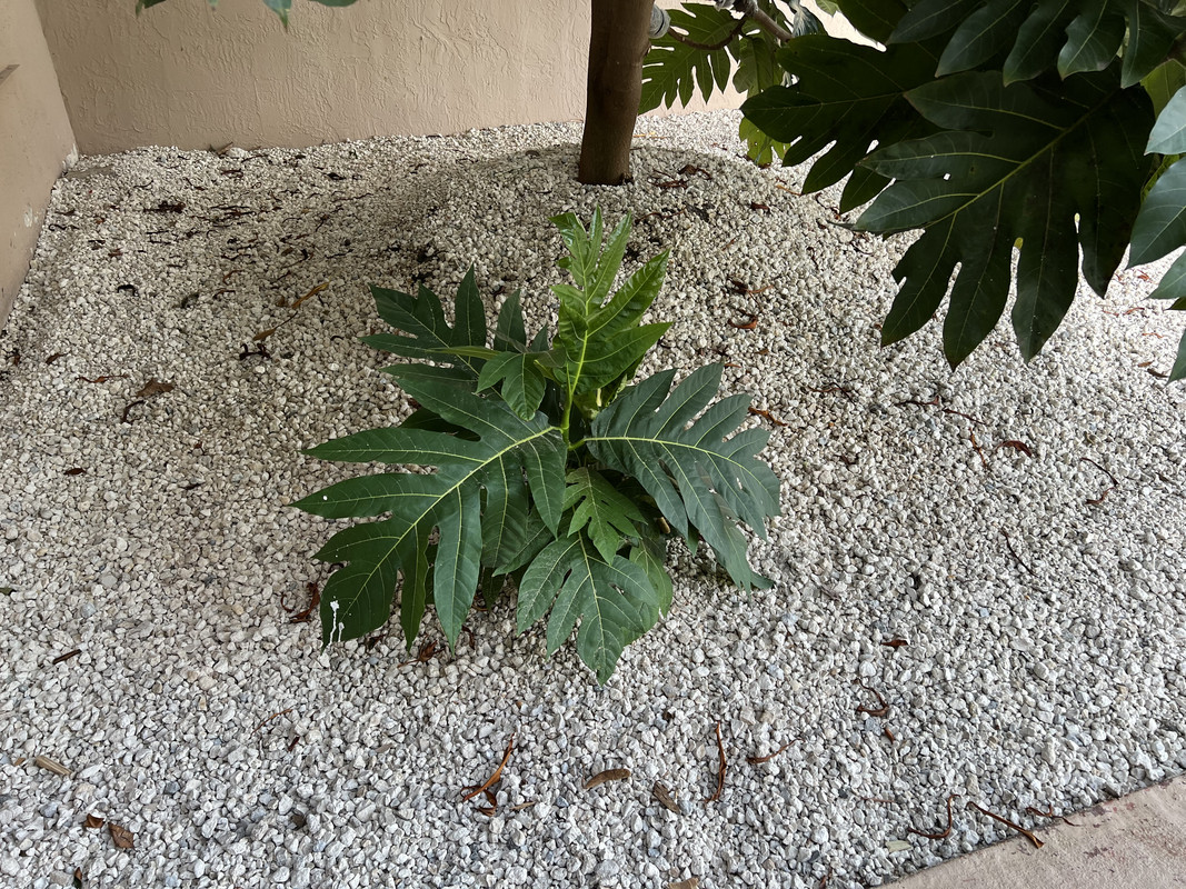 8055B8B3-AB07-44DB-98C5-FD7BE45021C1