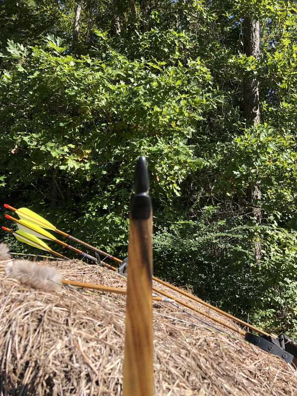 4938905C-DA9B-40A3-9931-B41D286D03C8