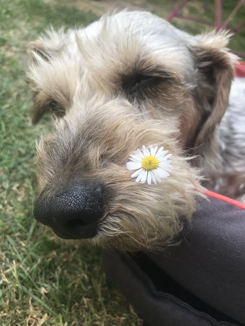 [Image: IMG-4271.jpg]