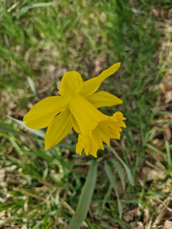 IMG_20240328_184455_431