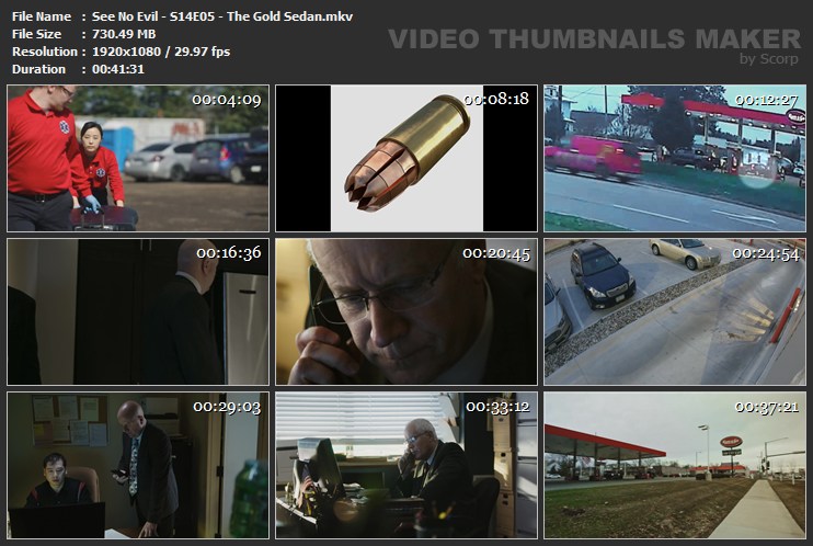 See No Evil S14E05 The Gold Sedan mkv