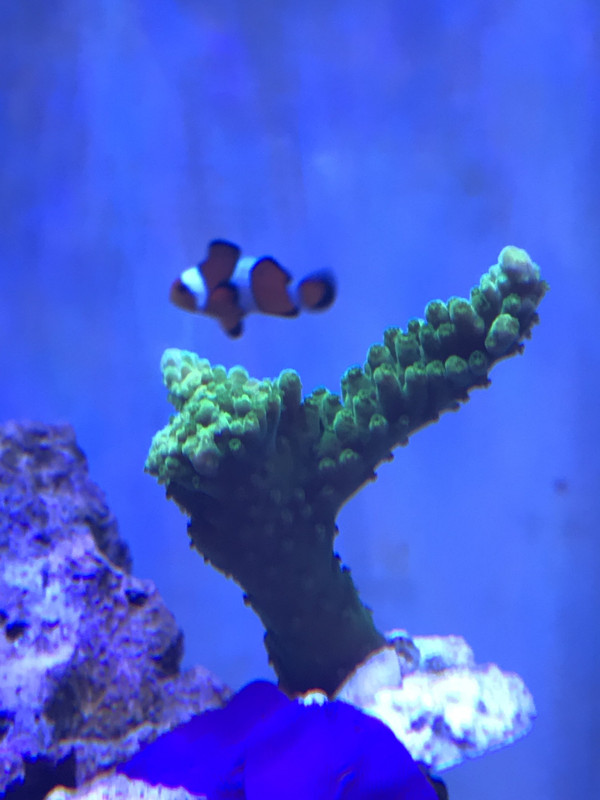 2C89C550-73B1-4EB6-A8DA-C0D6525BDC47