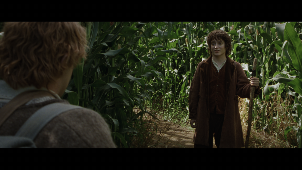 The Lord of the Rings- The Fellowship of the Ring (EXT.) PT. 1.mkv_snapshot_00.51.53_[2020.12.05_22.