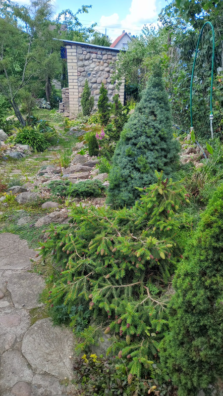 IMG 20250713 143809