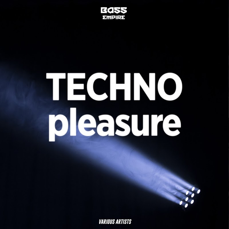 VA - Techno Pleasure (2019) .mp3 -320 Kbps