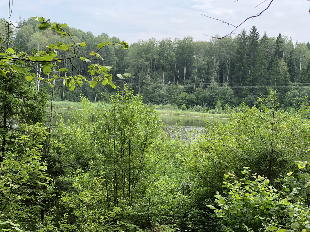 BFC3E9A1-A50D-4462-9B7A-959F949454E7