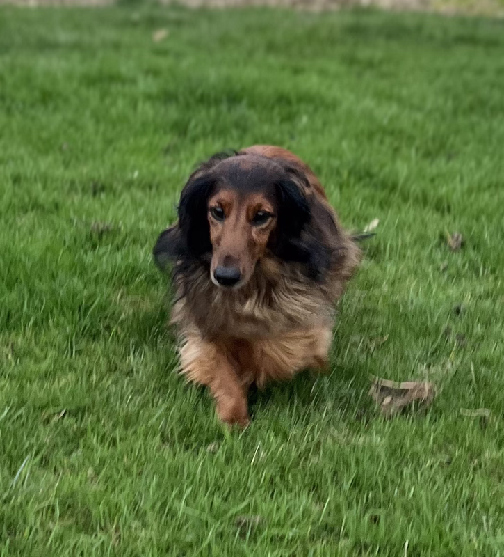 [Image: IMG-20251201-184329.avif]