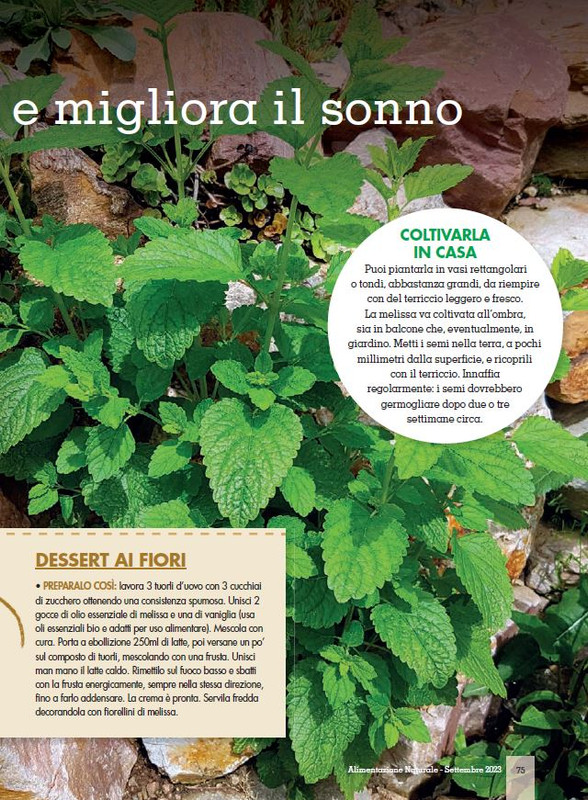 Alim Nat Set 2023 (12)