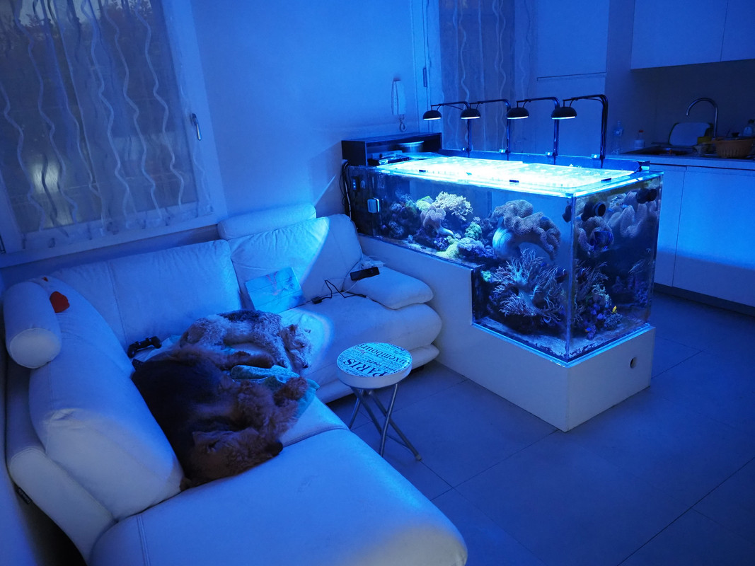 B9C5C859-7957-47B2-8AFC-B8C88E6BAEBE