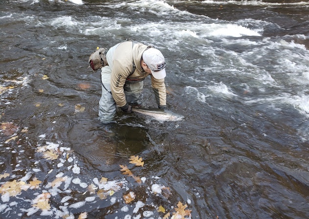 69932285-43E9-47A5-823F-387AD82BB773